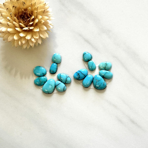 Small Sky Blue Mixed Lone Mountain Turquoise, Set of 14 Background