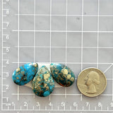 Large Sky Blue Teardrop Ithaca Peak Turquoise, Set of 3 Dimensions