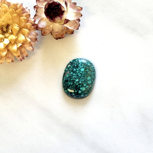 Large Ocean Blue Freeform Number 8 Turquoise Background