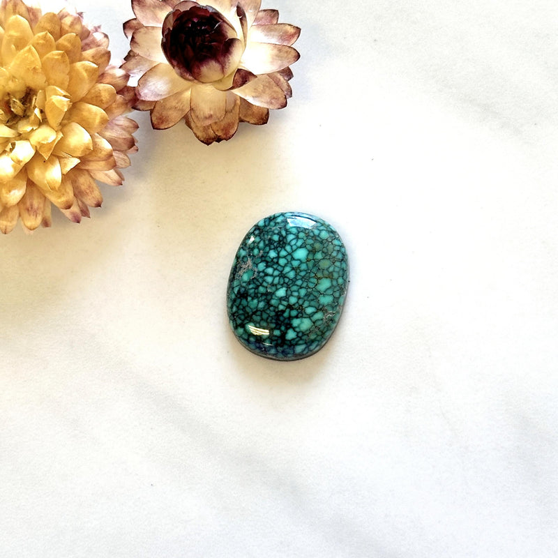 Large Ocean Blue Freeform Number 8 Turquoise Background