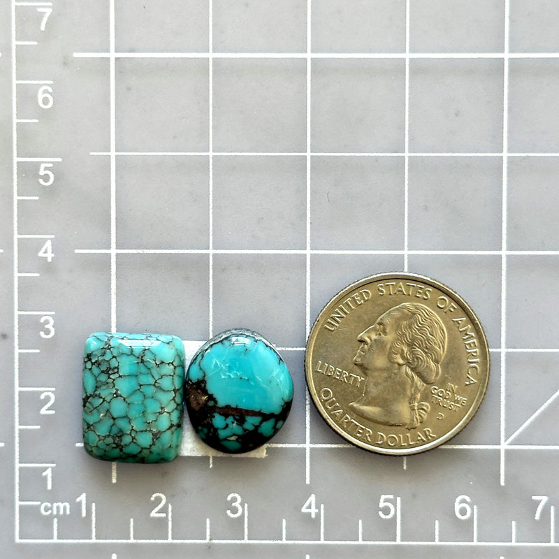Medium Sky Blue Mixed Yungai Turquoise, Set of 2 Dimensions