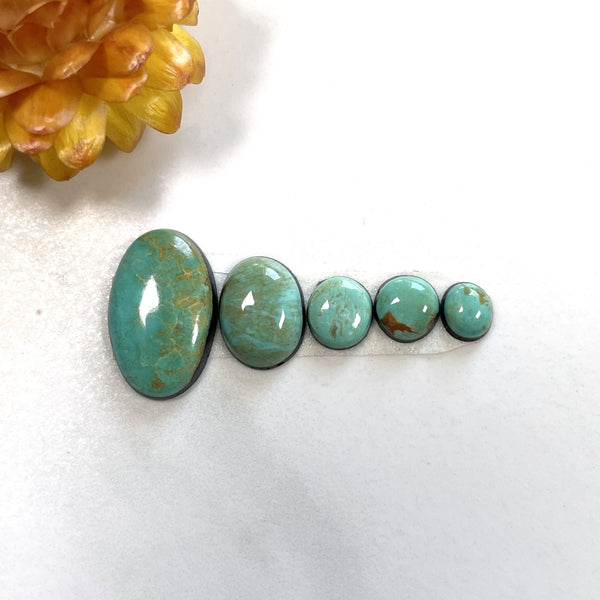 Small Mint Green Mixed Tyrone Turquoise, Set of 5 Background