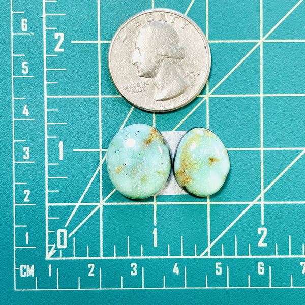 Small Sea Green Freeform Tyrone Turquoise, Set of 2 Dimensions