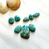 Small Ocean Blue Mixed Fox Turquoise, Set of 8 Background