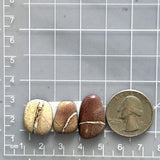 Medium Red Mixed White Buffalo Dolomite, Set of 3 Dimensions