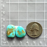 Medium Sky Blue Freeform Royston Turquoise, Set of 2 Dimensions