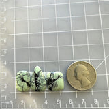 Small Mint Green Mixed Crescent Lake Variscite, Set of 3 Dimensions
