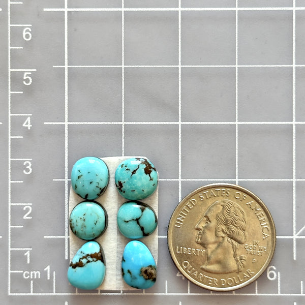 Small Mixed Freeform Kingman Turquoise, Set of 6 Dimensions