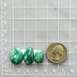 Small Deep Green Freeform Fox Turquoise, Set of 3 Dimensions