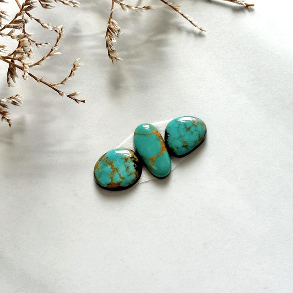 Small Sea Green Freeform Namtso Lake Turquoise, Set of 3 Background