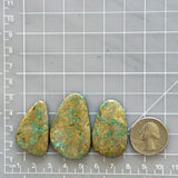 Large Sky Blue Freeform Royston Turquoise, Set of 3 Dimensions