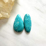 Large Sky Blue Mixed Fox Turquoise, Set of 2 Background