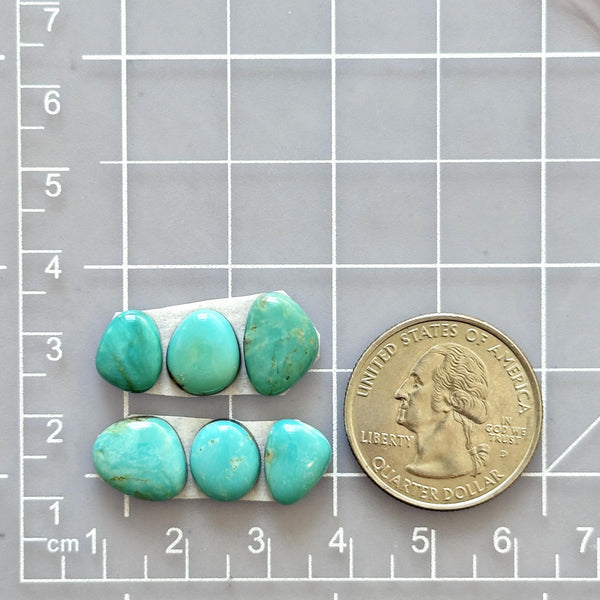 Small Sky Blue Freeform Kingman Turquoise, Set of 6 Dimensions