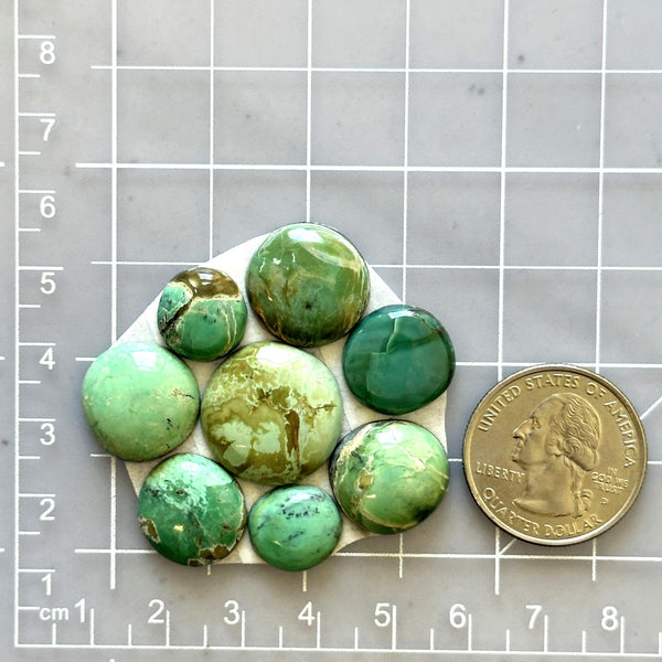 Small Mixed Round Crescent Lake Variscite, Set of 8 Dimensions