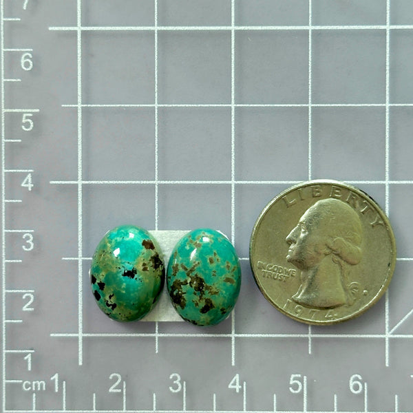 Small Mint Green Oval Tyrone Turquoise, Set of 2 Dimensions