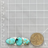 Small Sky Blue Freeform Kingman Turquoise, Set of 3 Dimensions