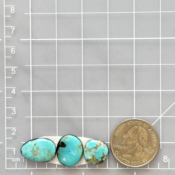 Small Sky Blue Freeform Kingman Turquoise, Set of 3 Dimensions