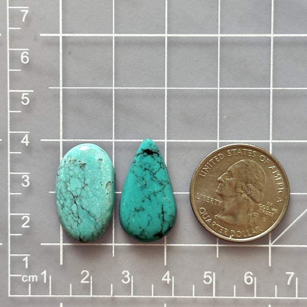Large Sky Blue Mixed Kingman Turquoise, Set of 2 Dimensions