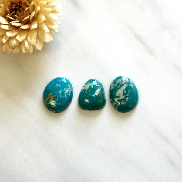 Small Sea Green Mixed Fox Turquoise, Set of 3 Background