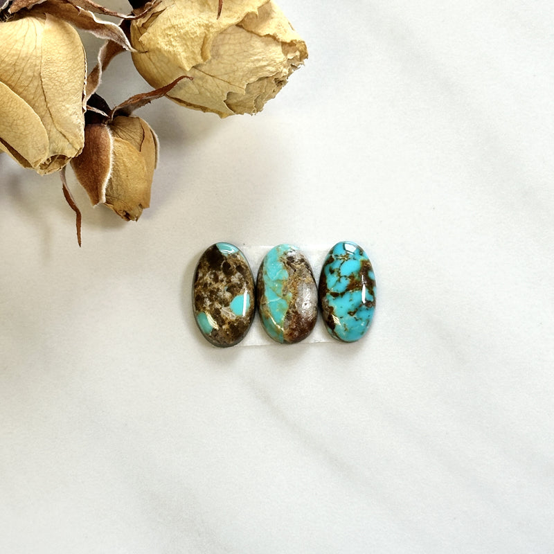 Small Sky Blue Oval Royston Turquoise, Set of 3 Background