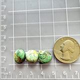 Small Mixed Mixed Crescent Lake Variscite, Set of 3 Dimensions