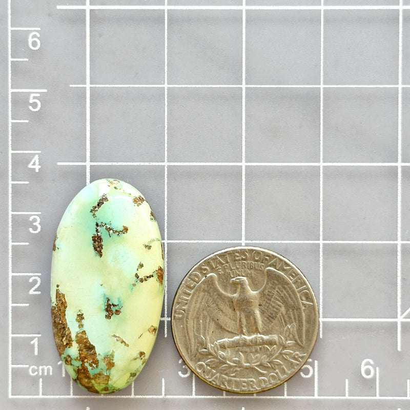 Large Mint Green Oval Crescent Lake Variscite Dimensions
