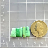 Small Mint Green Mixed Crescent Lake Variscite, Set of 5 Dimensions