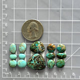 Small Mixed Mixed Number 8 Turquoise, Set of 14 Dimensions