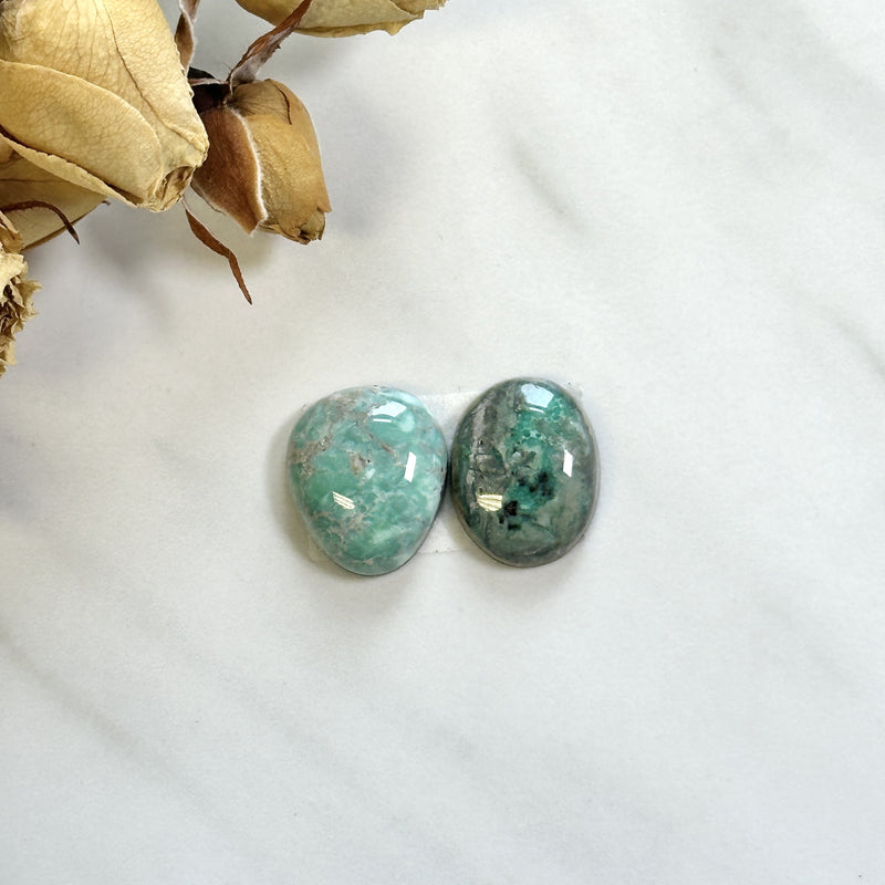 Medium Mixed Mixed Broken Arrow Variscite, Set of 2 Background