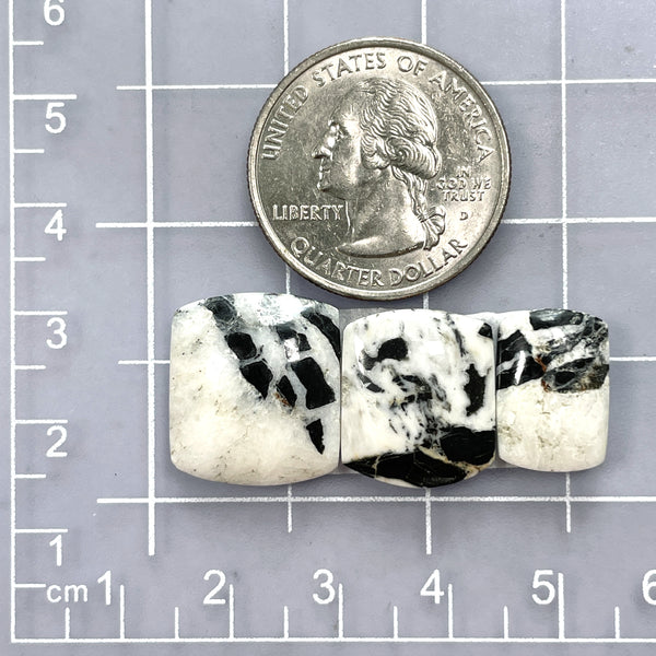 Small Black Barrel White Buffalo Dolomite, Set of 3 Dimensions