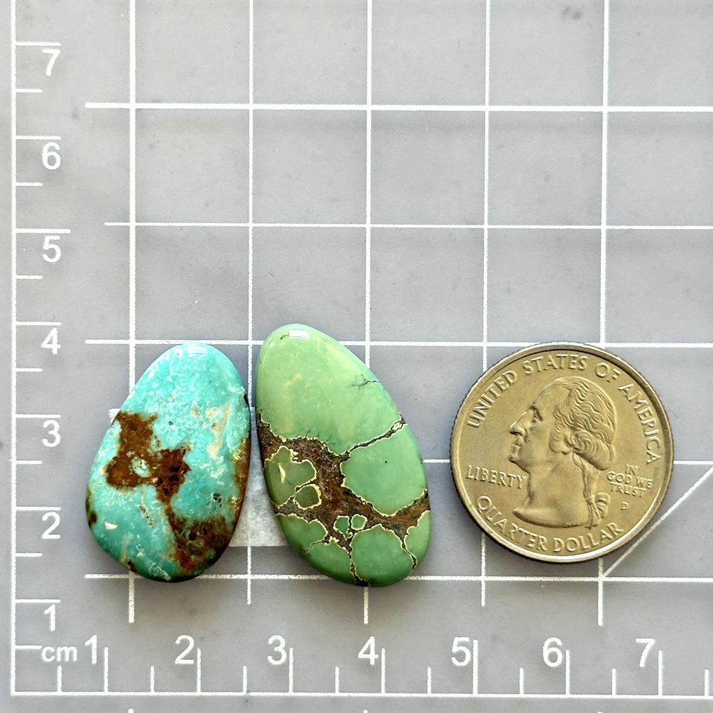 Large Mixed Mixed Treasure Mountain Turquoise, Set of 2 - Turquoise Moose