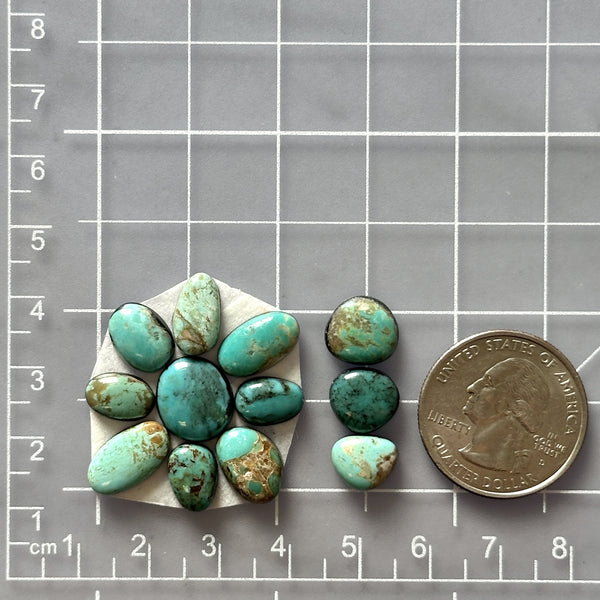 Small Mixed Mixed Mixed Turquoise, Set of 12 Dimensions