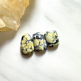 Medium Yellow Mixed Treasure Mountain Turquoise, Set of 3 Background