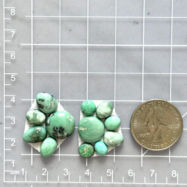Small Faint Green Mixed Broken Arrow Variscite, Set of 12 Dimensions