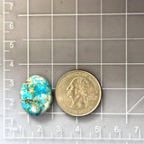 Large Sky Blue Freeform Royston Turquoise Dimensions