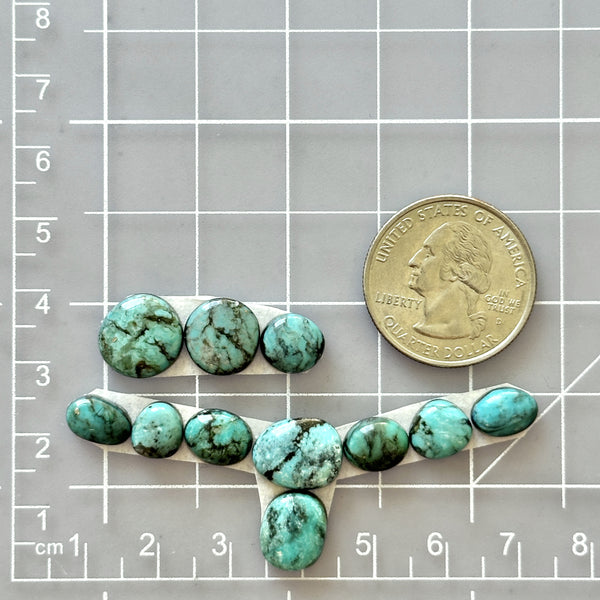 Small Faint Green Freeform Emerald Rose Variscite, Set of 11 Dimensions