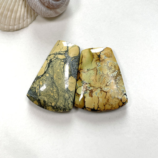 Large Earth Brown Petal Treasure Mountain Turquoise, Set of 2 Background