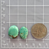 Medium Mint Green Oval Namtso Lake Turquoise, Set of 2 Dimensions