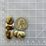 Small Deep Green Mixed Royston Turquoise, Set of 5 Dimensions
