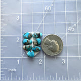 Small Sky Blue Mixed Ithaca Peak Turquoise, Set of 7 Dimensions