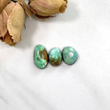 Small Mint Green Freeform Carico Lake Turquoise, Set of 3 Background