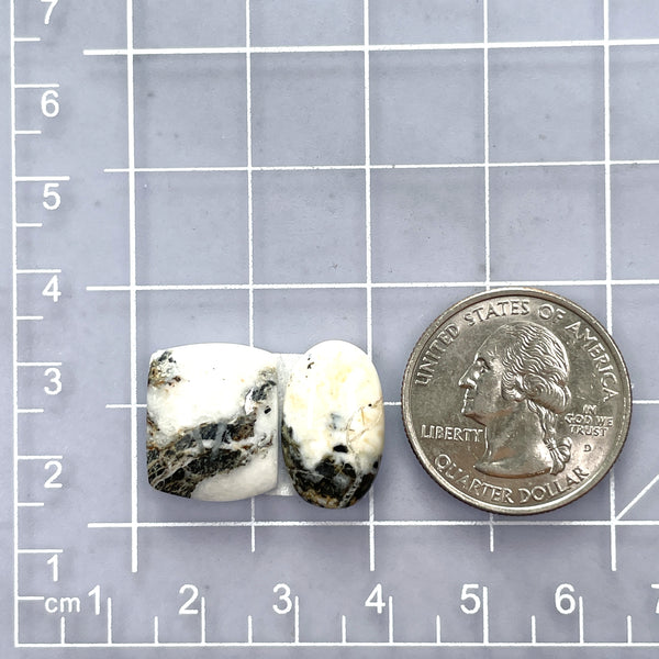 Medium White Mixed White Buffalo Dolomite, Set of 2 Dimensions