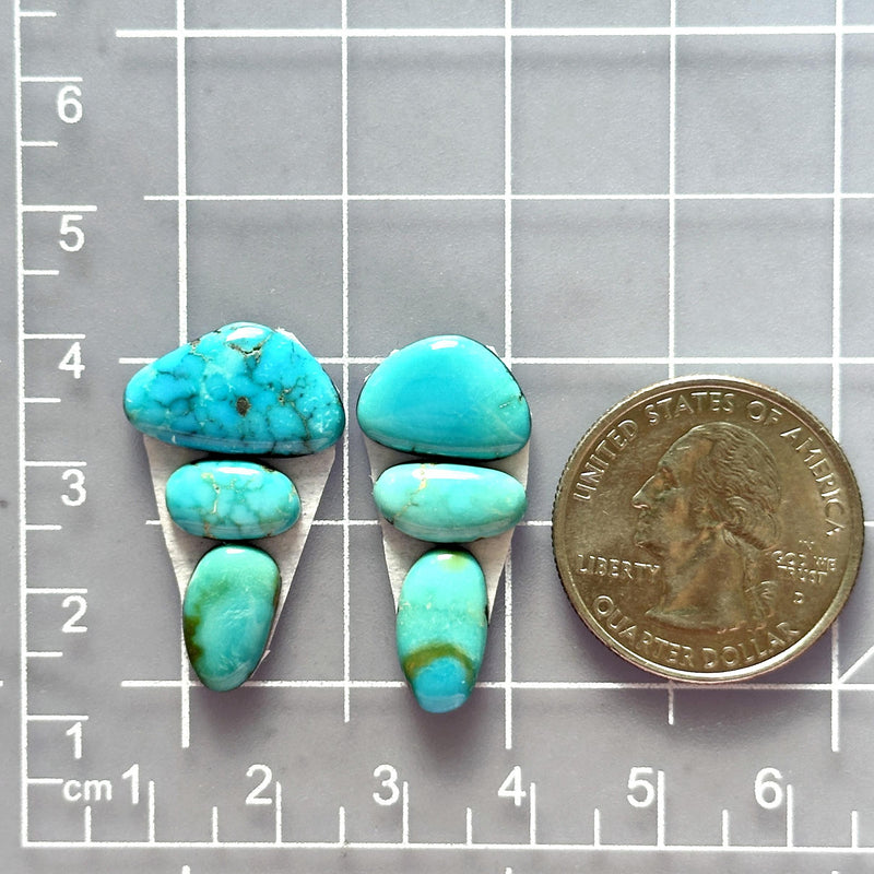 Small Sky Blue Freeform Kingman Turquoise, Set of 6 Dimensions