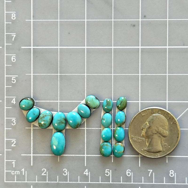Small Sky Blue Mixed Kingman Turquoise, Set of 16 - Turquoise Moose