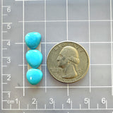 Small Sky Blue Freeform Sleeping Beauty Turquoise, Set of 3 Dimensions