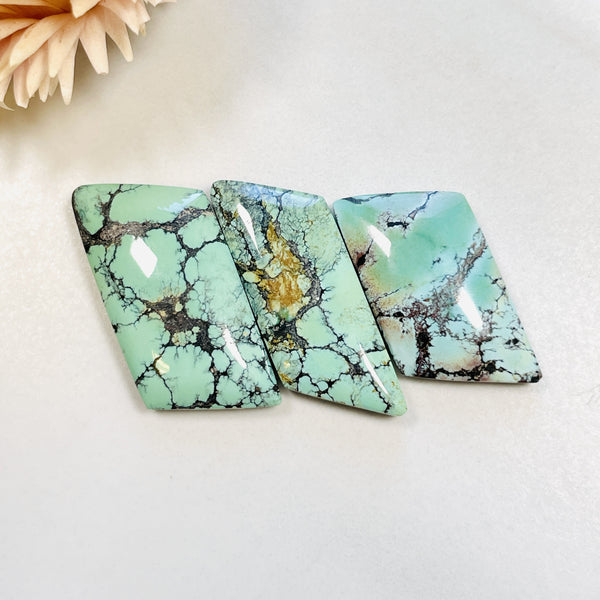 Medium Mint Green Freeform Treasure Mountain Turquoise, Set of 3 Background