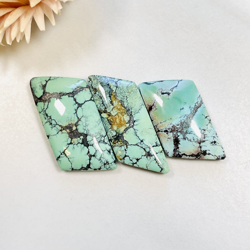 Medium Mint Green Freeform Treasure Mountain Turquoise, Set of 3 Background