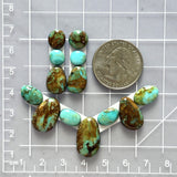 Small Mixed Mixed Tyrone Turquoise, Set of 13 Dimensions
