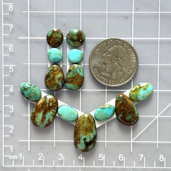 Small Mixed Mixed Tyrone Turquoise, Set of 13 Dimensions