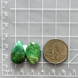 Medium Deep Green Mixed Crescent Lake Variscite, Set of 2 Dimensions